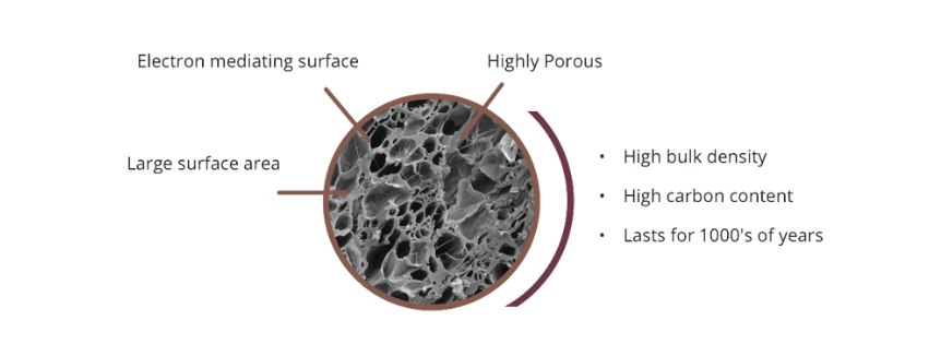 Biochar properties — highly porous, large surface area, high carbon content, lasts thousands of years