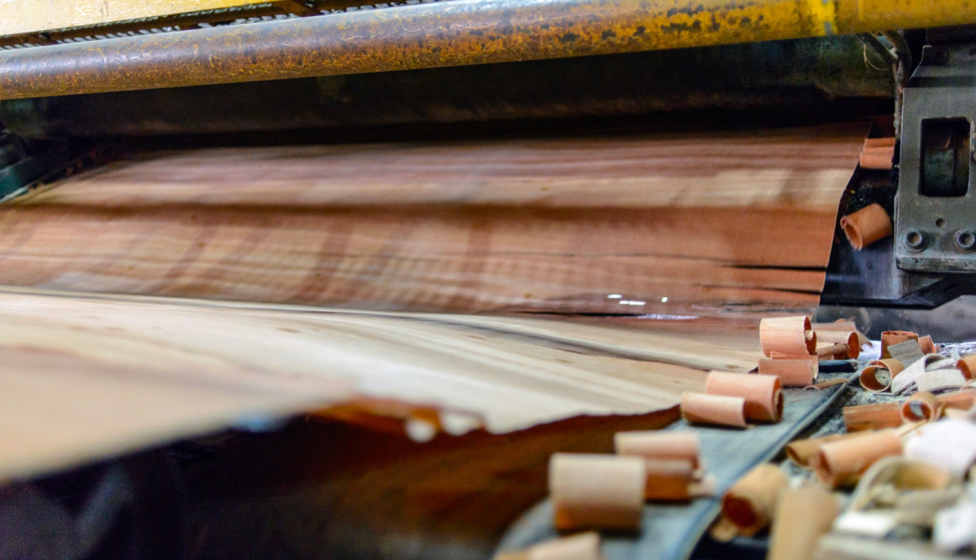 Veneer peeling machine in production