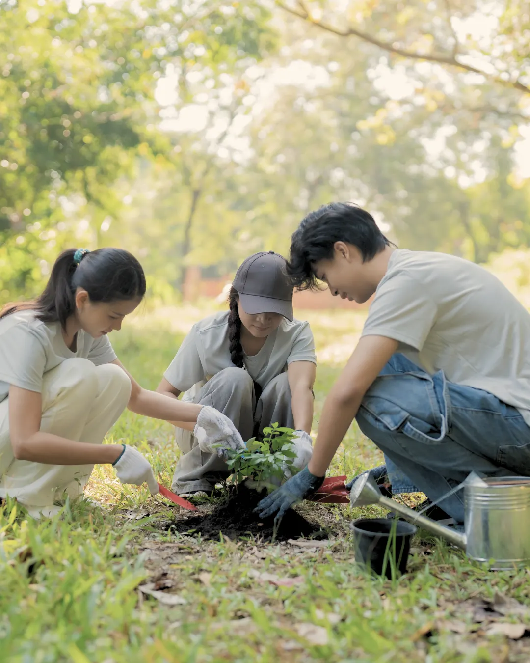 Planting trees together